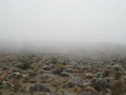 IMG_3299.jpg