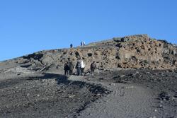 IMG_3349.jpg
