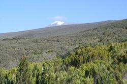 IMG_8780.jpg