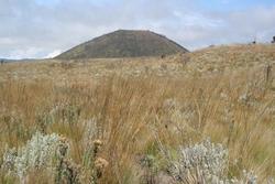 IMG_8821.jpg