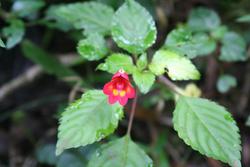 IMG_8863.jpg