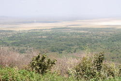 IMG_1650.JPG