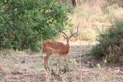 IMG_1712.JPG