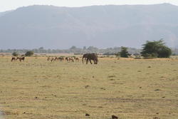 IMG_1721.JPG