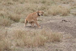 IMG_2042.JPG