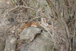 IMG_2076.JPG