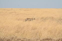IMG_2406.JPG