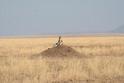 IMG_2412.JPG