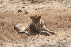 IMG_2555.JPG