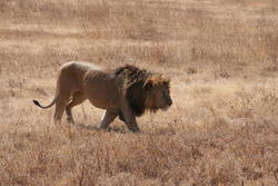 IMG_2608.JPG