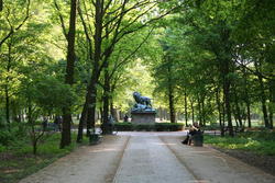 The beautiful Tiergarten