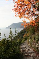 Fall colours
