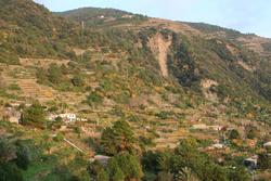 Terrace farming