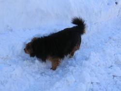 Hello, are you enjoying the snow?