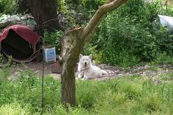 Don't try to be smart, I am watching you !!!