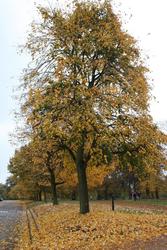 IMG_2772.jpg