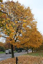 IMG_2773.jpg