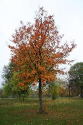 IMG_2778.jpg