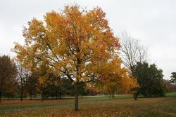 IMG_2780.jpg
