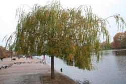 IMG_2803.jpg