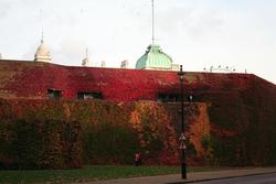 IMG_2870.jpg
