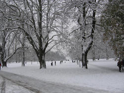 Snow, snow, snow ...