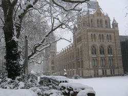 National History Museum