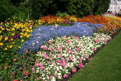 St. James's Park