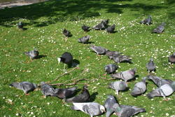 They are enjoying the sun as well !!!