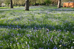 Hyde Park