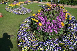 Hyde Park (stupid shadow ;)