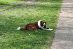 He is enjoying the sun as well :-)