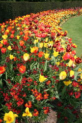 Colourful, Regent's Park