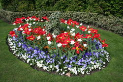 Nice decoration, Regent's Park
