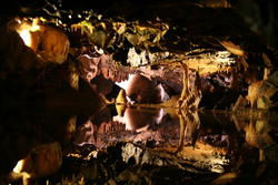 Love the reflection, Gough's cave