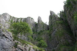 Cheddar Gorge (2)