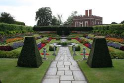 Garden recreated in the style of Henry VIII's gardens